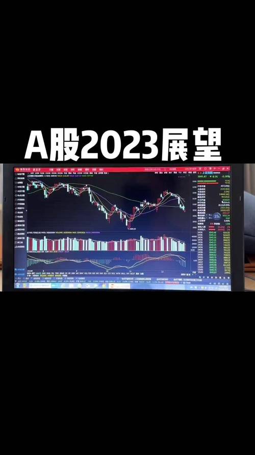 A股市场2023年表现_创业板头部公司分析_创业板股票如何