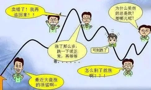 新学苑力量：新股民入市前必看，老股民再思考与解麻烦指南
