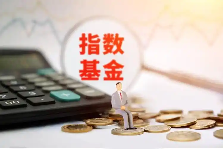 基金混合型股票型什么意思_公募基金私募基金发行方式区分_基金种类定义特点投资方式