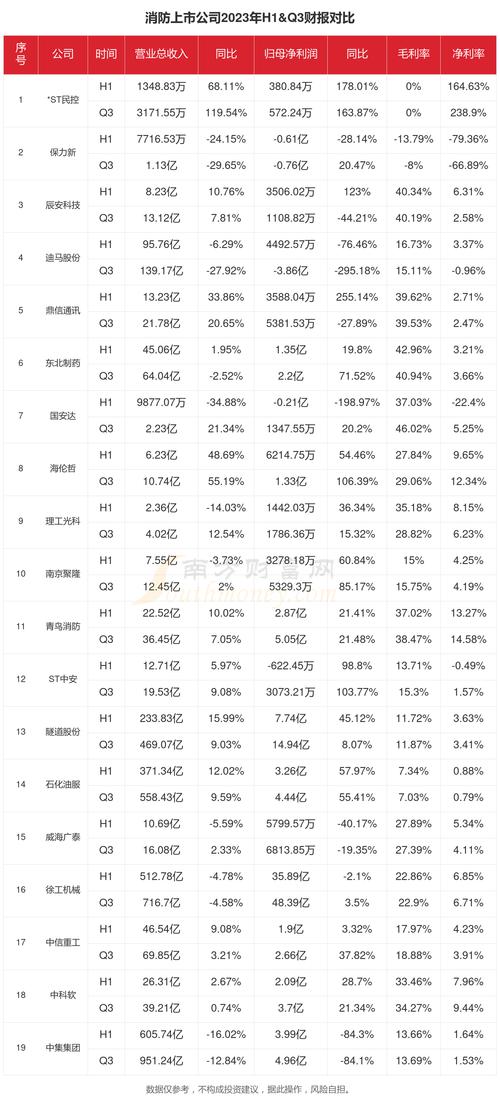 公司半年度报告相关情况，含董事责任、财务数据等