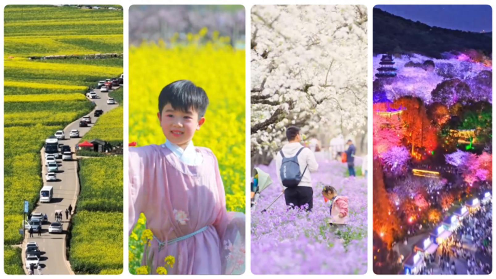 股市清明节放假通知：看清时间安排，假期投资有备无患