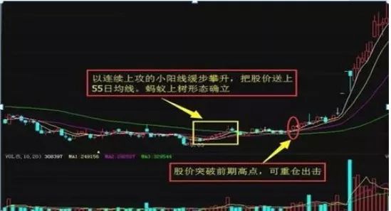 炒股入市最低多少钱_炒股入市流程_如何入市炒股