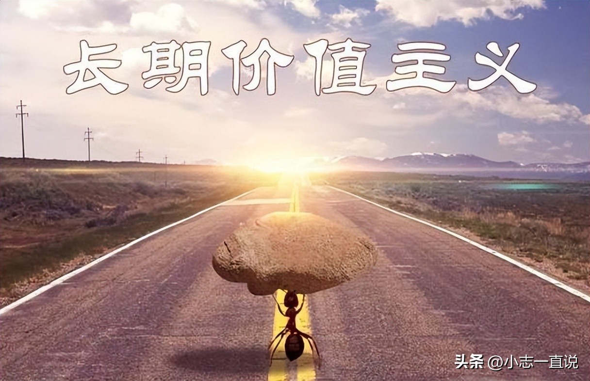 价值型投资者理由_价值投资策略_风险控制与机会识别