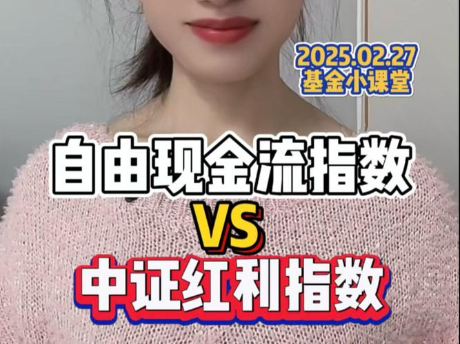 长期回报指数基金_自由现金流类指数基金_价值型投资者理由