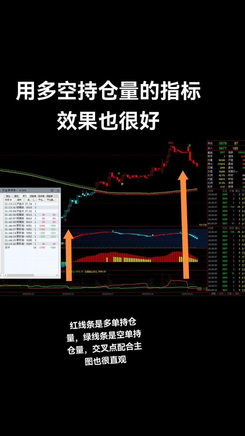 资金分析：主力净流入及持仓情况，技术面解读与行情展望