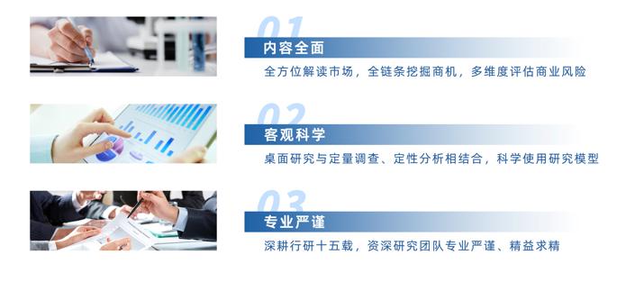 中国物流信息软件系统行业发展全景监测及投资方向研究报告_物流公司可行性报告_物流信息软件系统市场规模分析