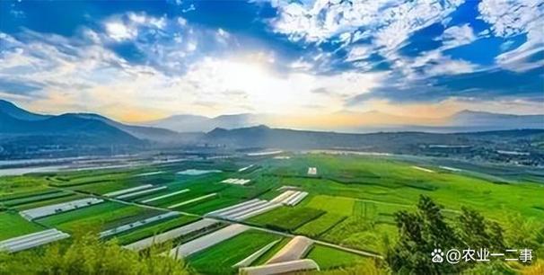 六盘水市抢抓机遇探索大数据农业融合新路径，成效显著