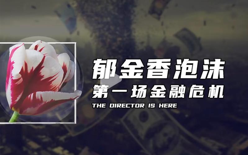 郁金香泡沫与羊群效应：非理性投资的惨痛教训，历史如何重演？