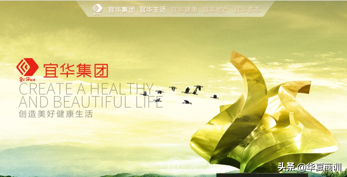 宜华生活宜华健康亏损原因_宜华集团业绩预亏_宜华健康实控人配资炒自家股票