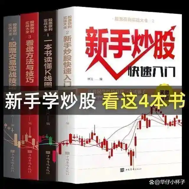 股票交易系统学习_300-500万炒股资金要求_股票里面的爆仓是什么意思