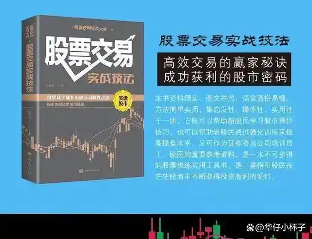股票交易系统学习_股票里面的爆仓是什么意思_300-500万炒股资金要求