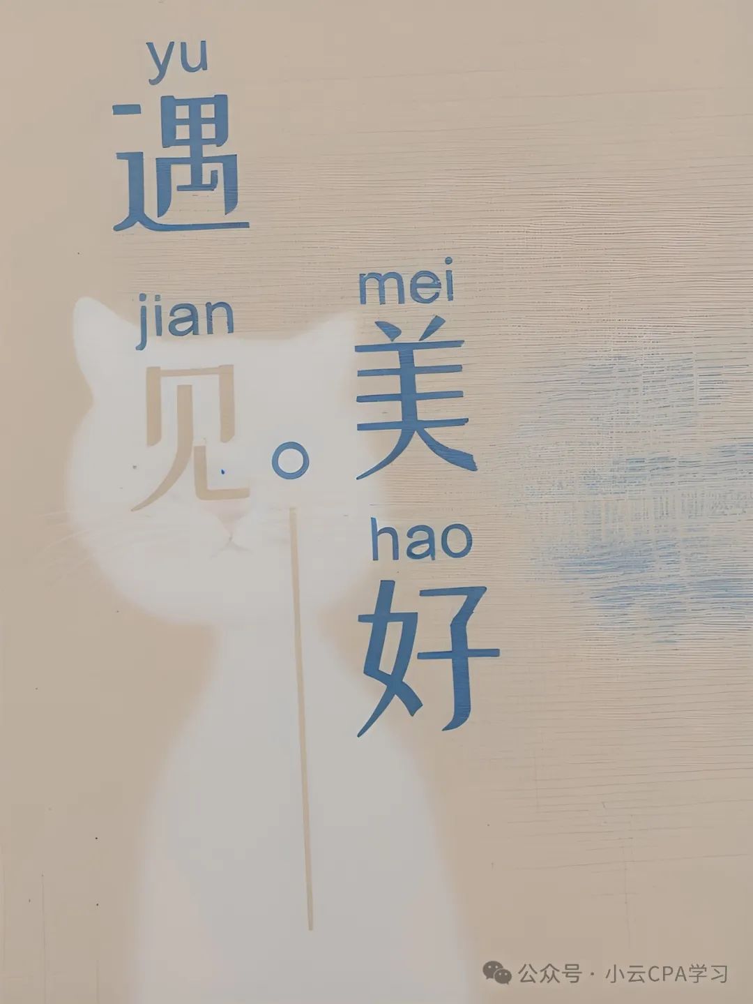 优先股与混合筹资：权益资本与债务资本的特征及资本成本分析