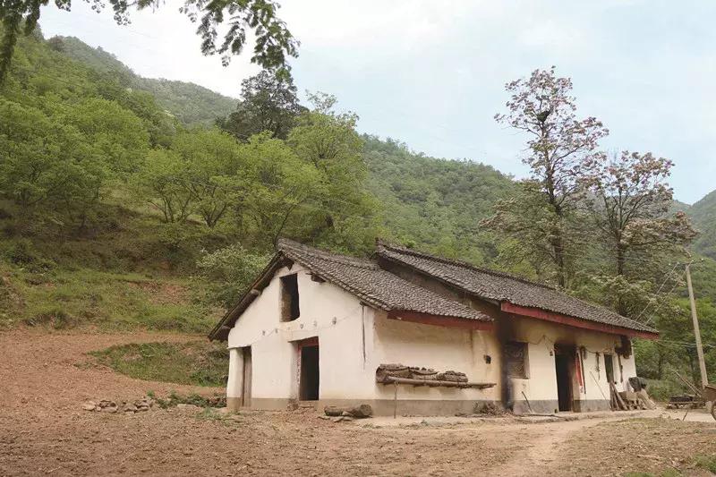 什么地方卖空白家谱_王羲之家族谱系_两当县王氏族谱