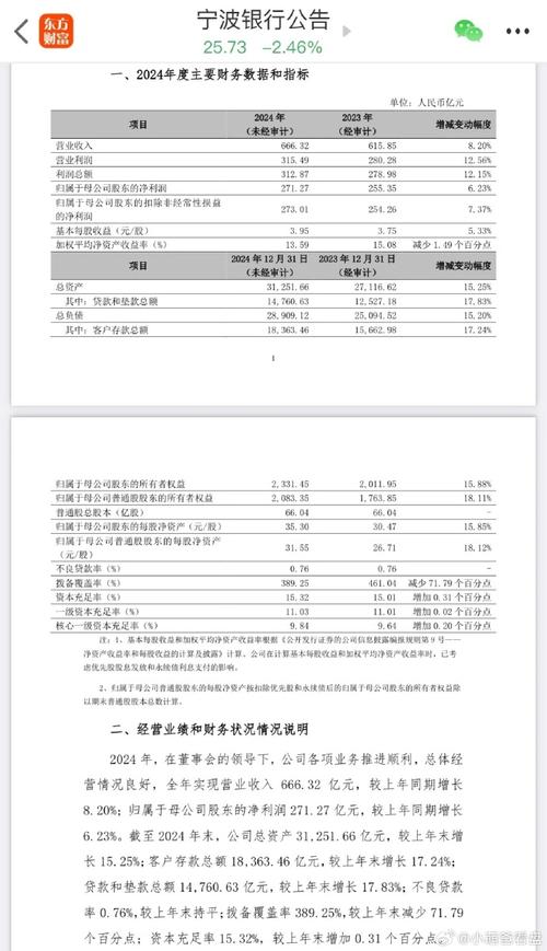 宁波港股票有潜力吗_宁波港财务报表解读_宁波港2024年年报分析