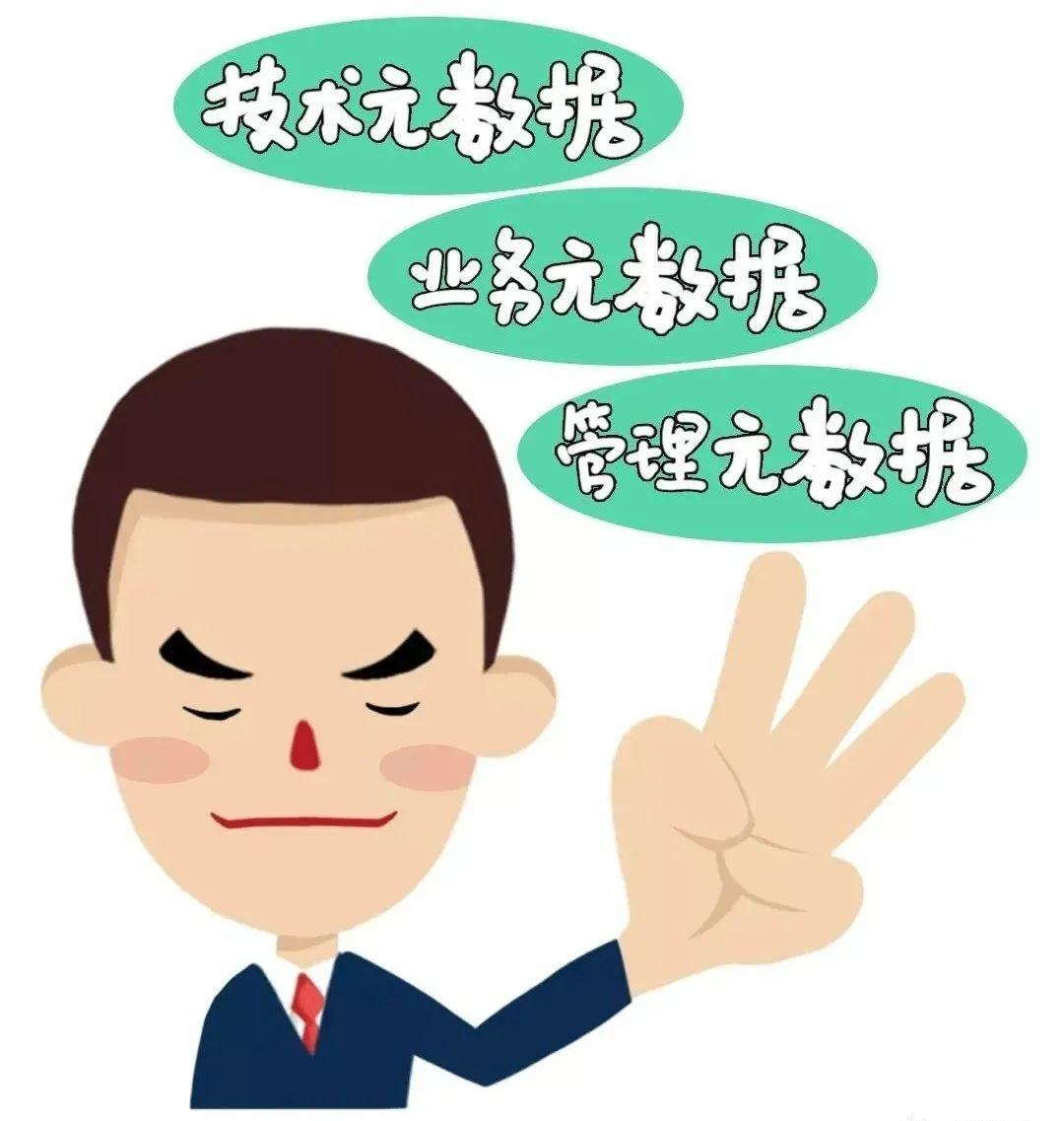 元数据定义 银行业元数据分类 技术元数据应用_大数据 元数据管理