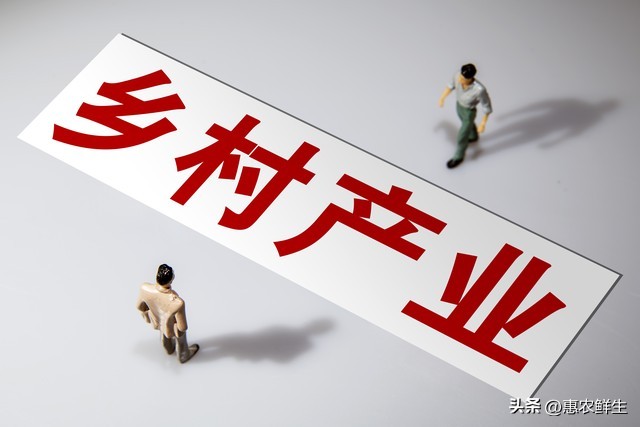 让创业项目得到政府扶持该怎么做_乡村振兴 四方合作模式 农文旅商项目