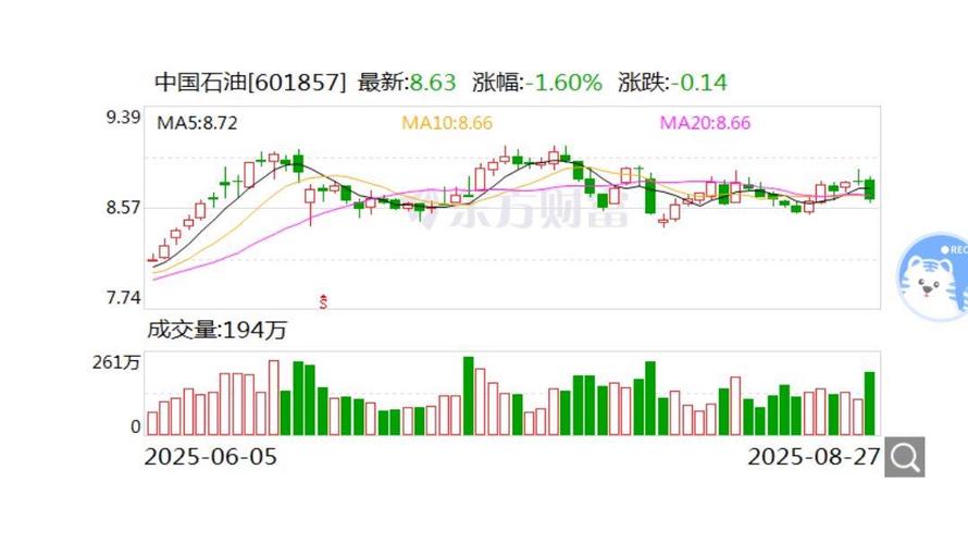 中石油上半年业绩不佳营收下降，股票下跌原因找到了