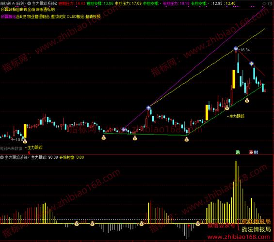 主力动向捕捉神器，庄影追踪指标公式用法