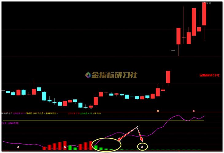 庄影追踪指标：抓庄家吸筹洗盘，副图选股两用