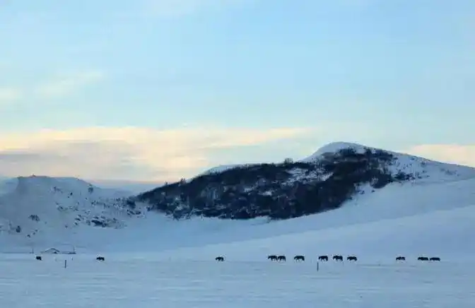 短线是银之1：短线高手的操盘技巧_短线交易技巧_投资心态与执行力
