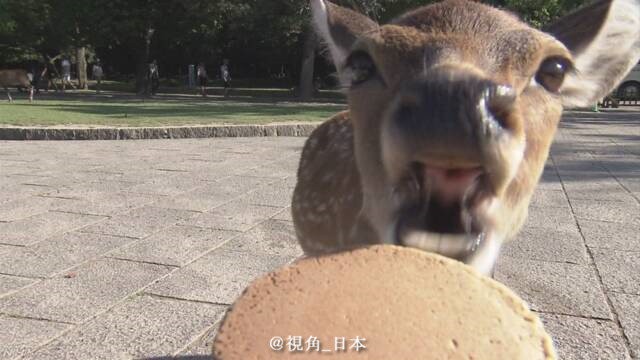 日本消费税上调对游客的影响_日本消费税上调10%_日本消费税上涨汇率会涨吗