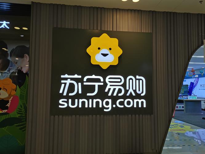苏宁云商股票融资优缺点：筹资风险小但成本高