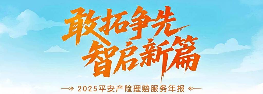 平安产险理赔数据解读_平安产险2025年理赔服务年报_保险公司月度工作总结不足