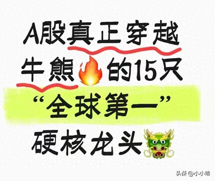 新能源行业龙头公司_中国垄断行业的股票_A股全球第一龙头