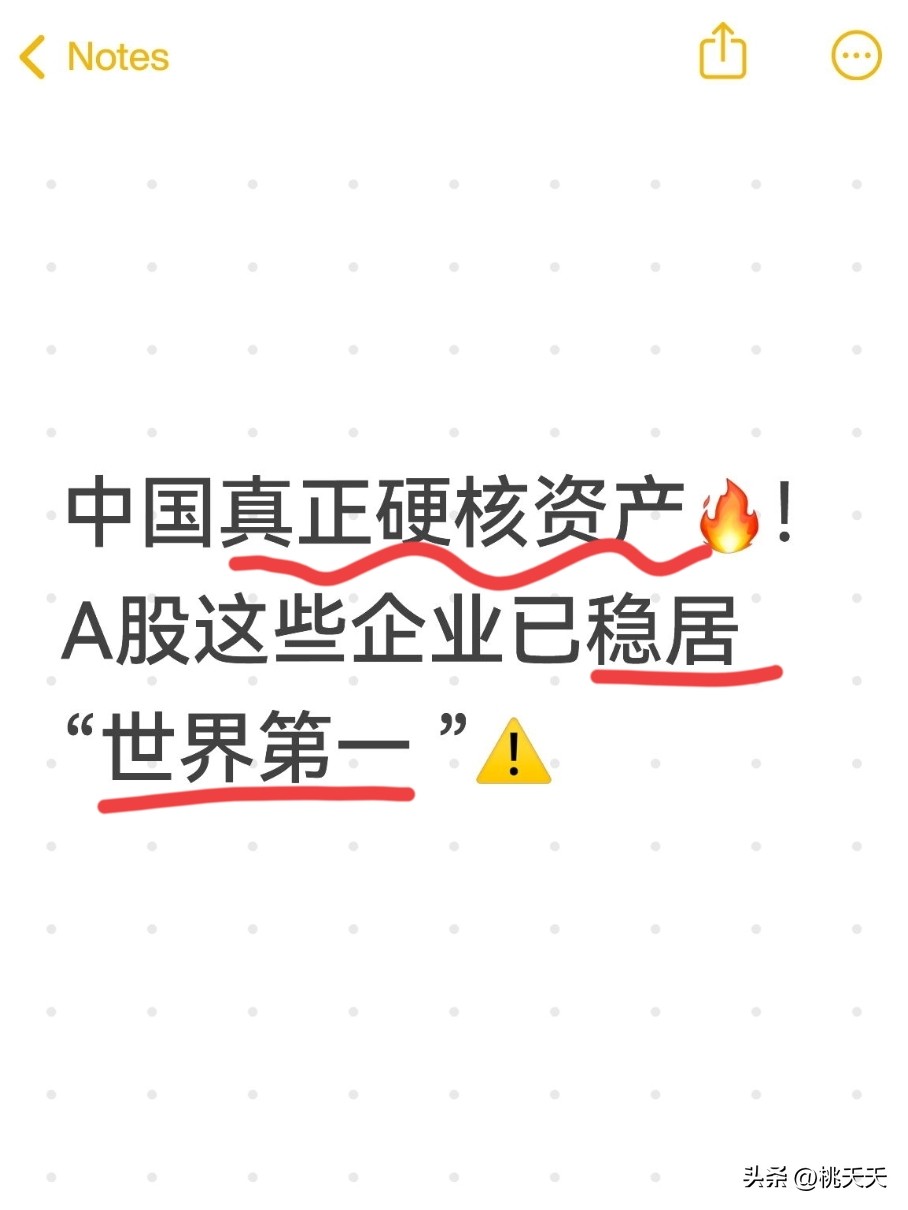 A股核心赛道优质资产揭秘：走出国门的中国上市公司股票