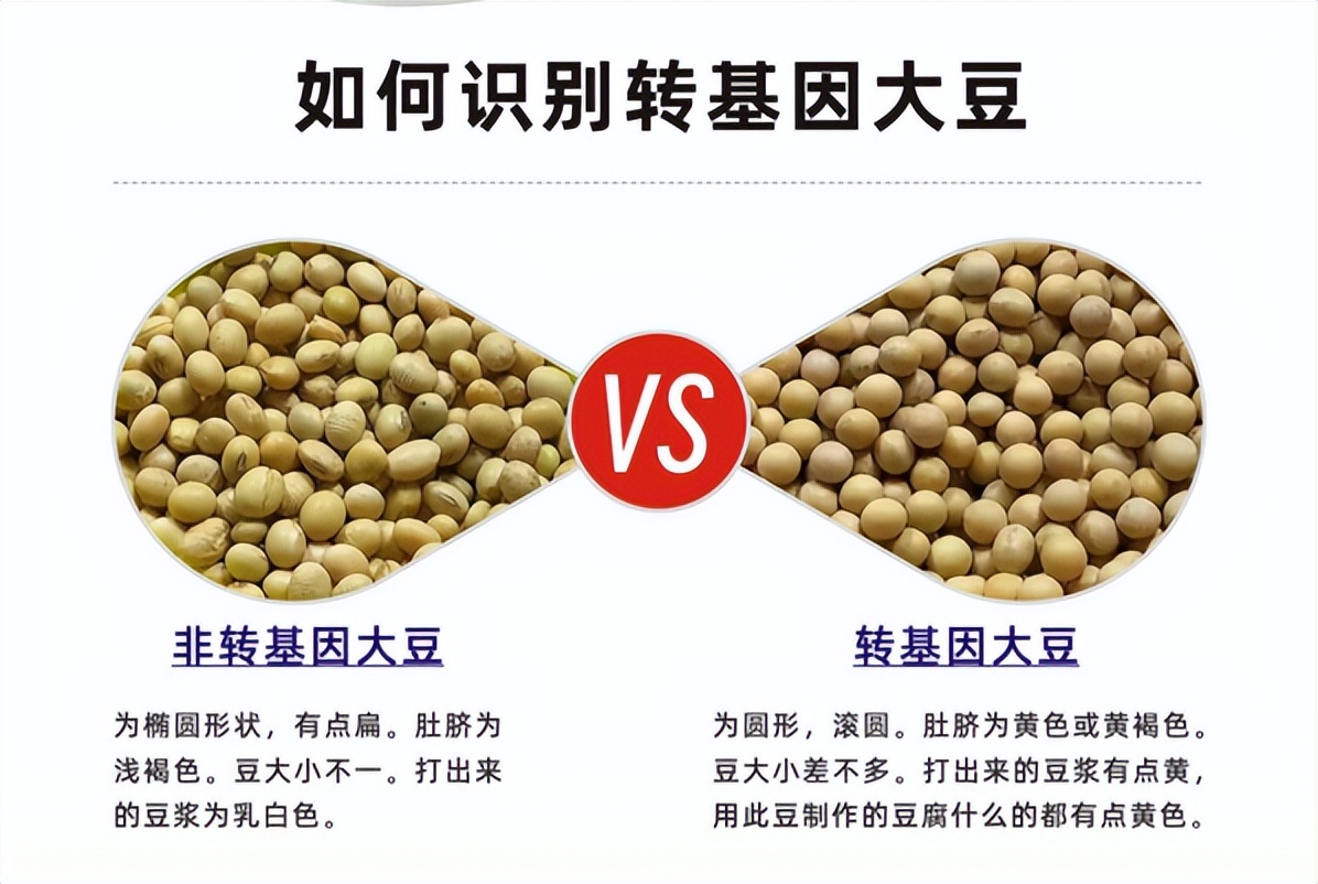 转基因大豆与非转基因大豆区别_转基因大豆进口管理规定_转基因大豆外观识别方法