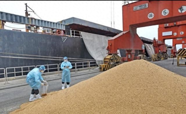 粮食安全耕地分配_转基因大豆进口管理规定_中国大豆进口