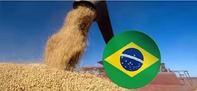 粮食安全耕地分配_转基因大豆进口管理规定_中国大豆进口