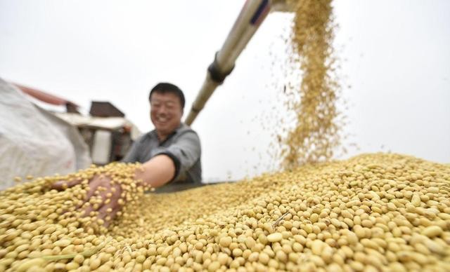 转基因大豆进口管理规定_中国大豆进口_粮食安全耕地分配
