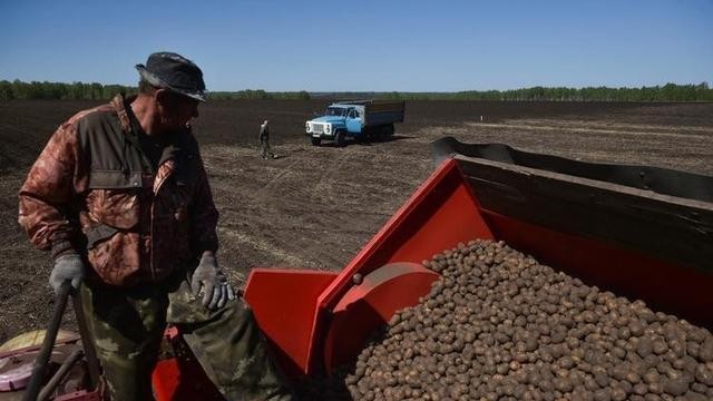 粮食安全耕地分配_中国大豆进口_转基因大豆进口管理规定