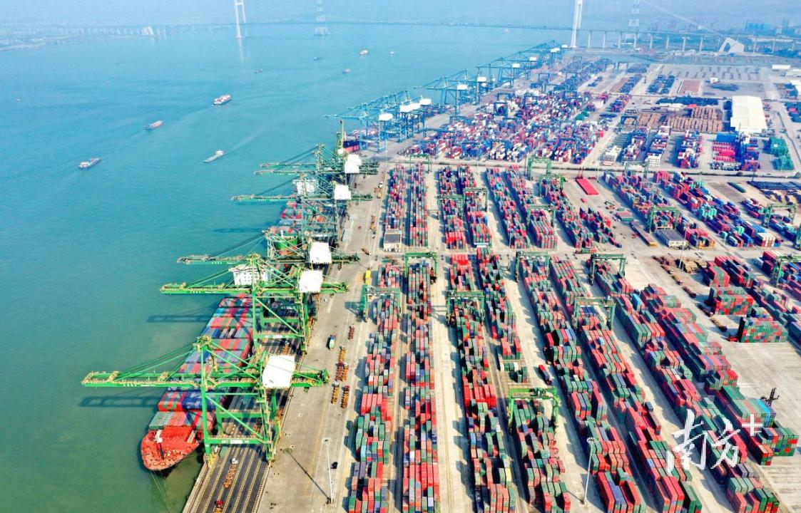 东莞港散件杂货吞吐量_东莞市龙通货柜码头有限公司_东莞港进口原木业务