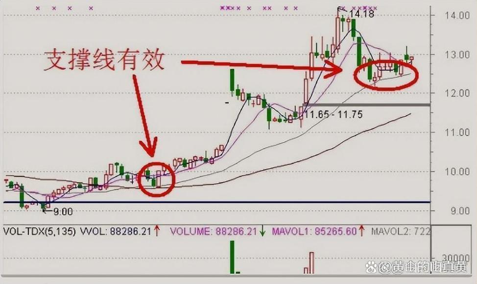 均线实战技巧_均线5日20日60日_股票基本知识视频百度云