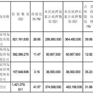 用友网络股票质押_北京用友科技质押股份_用友 股票