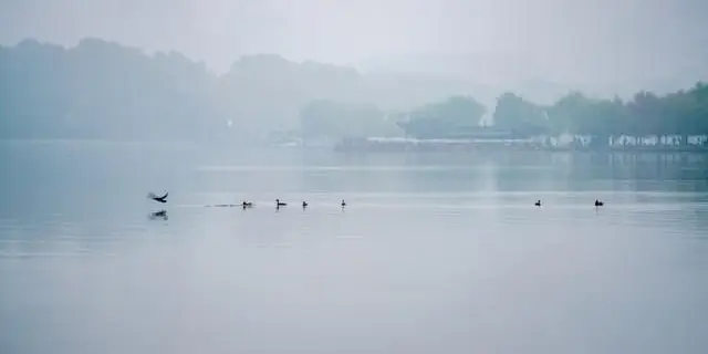 杭州声名远扬成旅游热门地，西湖魅力为何能折服众人？